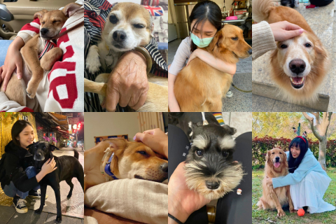 1768一起遛吧！寵物代遛ǀ安親ǀ散步ǀ保姆ǀ到府照顧 - 這是我們の初衷&acute;&bull;ﻌ&bull;`?
「一起遛吧」是狗狗的快樂補給站！

我們用愛與熱情?
陪牠們奔跑、結交朋友，探索城市的驚喜！

這是一場溫暖相遇，也是一份愛的傳遞=͟͟͞͞♡

狗狗開心、主人安心，是我們最重要的使命?

讓1768牽起毛小孩的幸福吧！ᰔᩚ

#1768一起遛吧 #寵物保姆 #寵物安親 #遛狗 #到府服務 #毛孩 #台中 #貓 #狗 #dog #pet