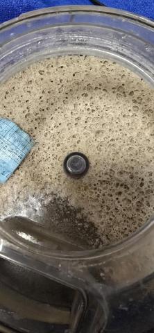 寶傑除蟎 - 客戶床墊清潔出來的髒污，裡面包含了塵蟎，塵蟎屍體，塵蟎糞便及各式髒污