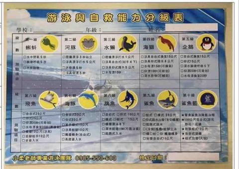 咩咩教練/游泳教學 - 課後頒發認證書