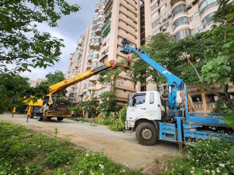 盛永園藝工程行 - 