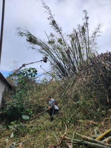 盛永園藝工程行 - 