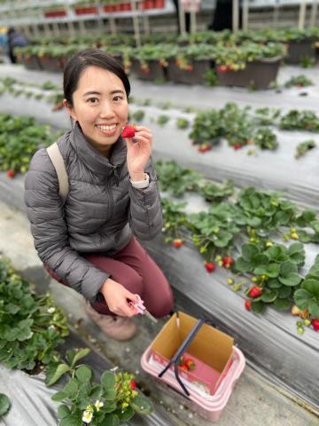 潘怡蓁 - 帶日本朋友體驗台灣採草莓之樂