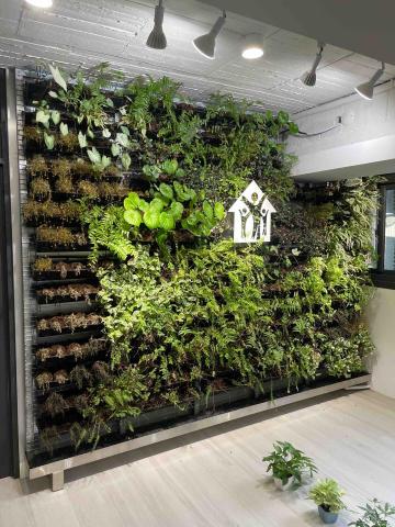 繁華予槿商行 -  繁華予槿商行 -