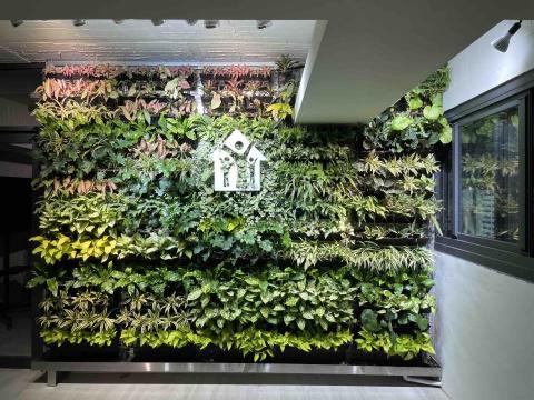 繁華予槿商行 -  繁華予槿商行 -