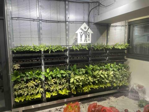 繁華予槿商行 -  繁華予槿商行 -