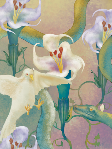 好日工作室 - 插畫設計
