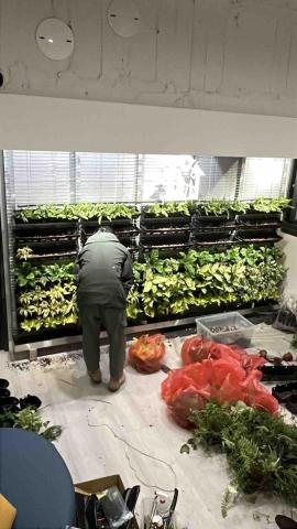 繁華予槿商行 -  繁華予槿商行 -