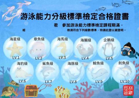 王者游泳 - 游泳能力證書