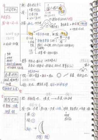 卓鈺瑄 - 高中地理