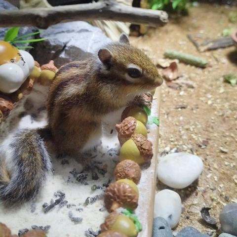 提供打字兼職服務的專家自營