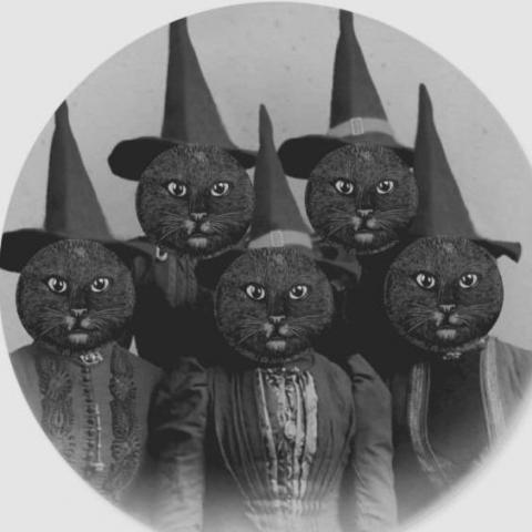 提供抽獎文服務的專家eRikA Huang