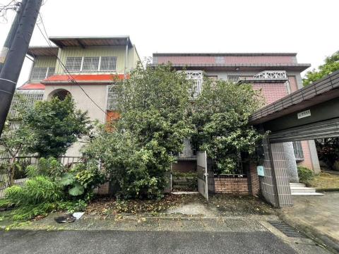 🪽森羽園藝 - 桂花樹修剪