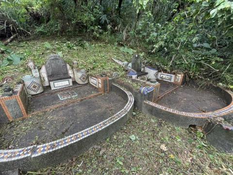 🪽森羽園藝 - 除草