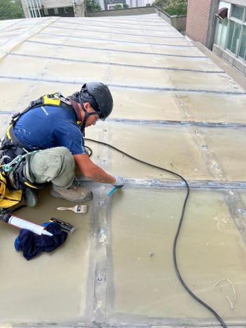 TimHoey - 採光罩修補