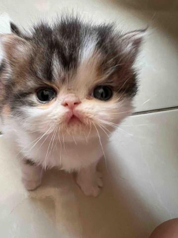 提供集運倉服務的專家大有倉務整合行銷有限公司