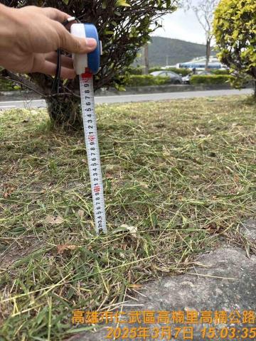 小新工作室 - 草地高度