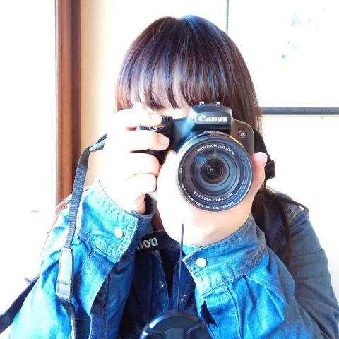 提供n4服務的專家兼職小白