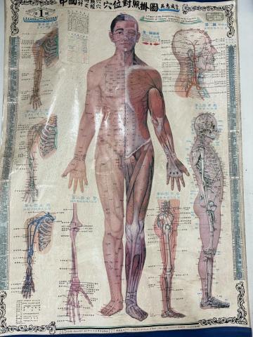 得康傳統整復所 - 人體經絡圖 得康傳統整復所 - 人體經絡圖