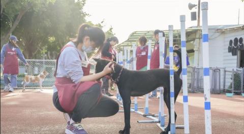 Qpolo - 志工活動攝影