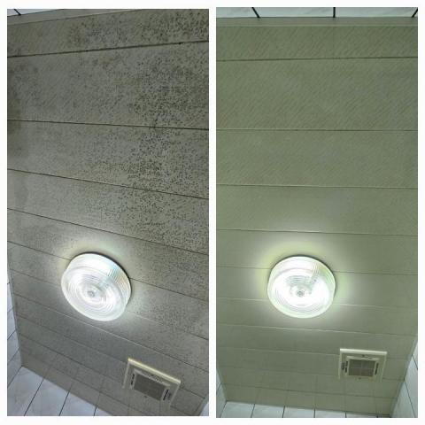 清潔先生 - 浴室天花板除黴