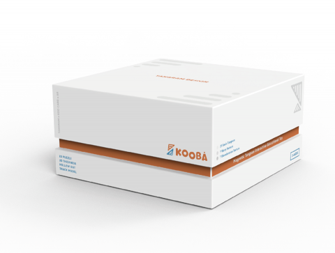 賴昱伶 - 包裝設計_NS121 STUDIO°_玩具包裝設計