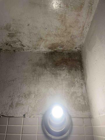 潔兒樂 油漆/清潔/統包工程 -  潔兒樂 油漆/清潔/統包工程 -