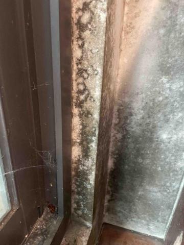 潔兒樂 油漆/清潔/統包工程 -  潔兒樂 油漆/清潔/統包工程 -