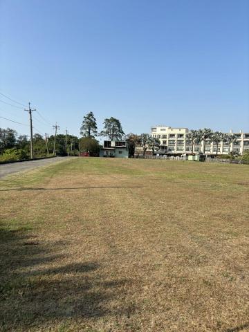 劉老師棒球農場 - 室外草皮可進行約80米遠投