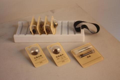 蔡孟軒 - 標本框收納盒