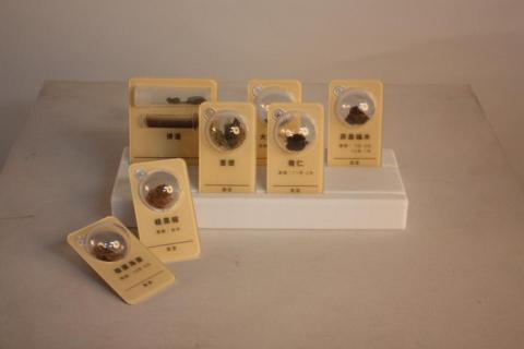 蔡孟軒 - 標本保存外殼、展示架