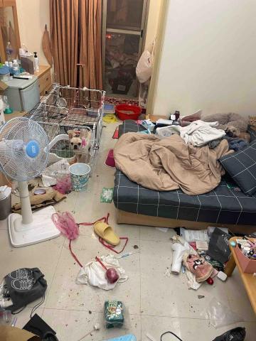 潔兒樂 油漆/清潔/統包工程 -  潔兒樂 油漆/清潔/統包工程 -