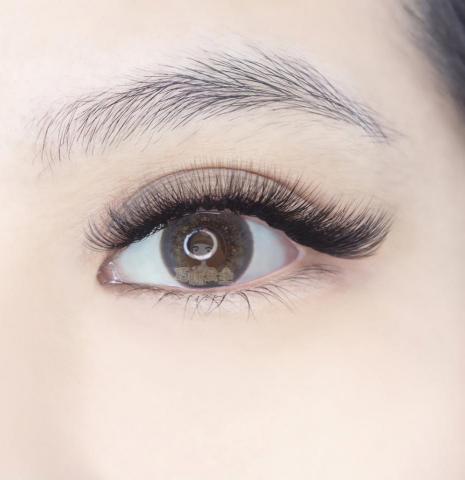 悅心苑 -  美睫 / 角蛋白：日系根根分明嫁接、自然翹睫角蛋白，打造魅力雙眸。