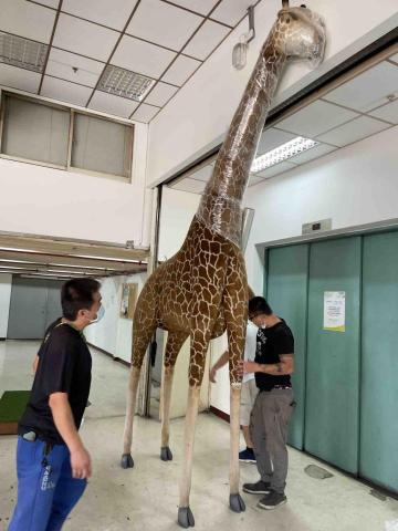 阿宏搬家 - 打包運送