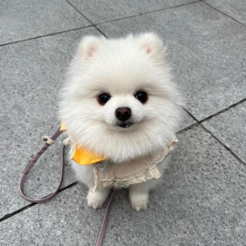 提供matlab指令服務的專家林強