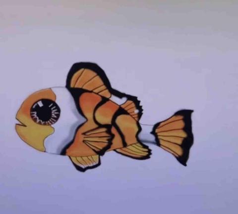 硬核手繪師 - 小丑魚設計