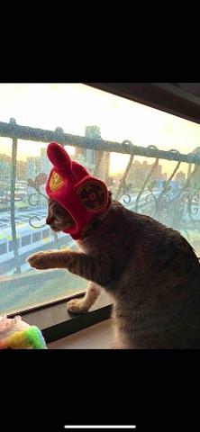 王昱甯 - 想出去玩