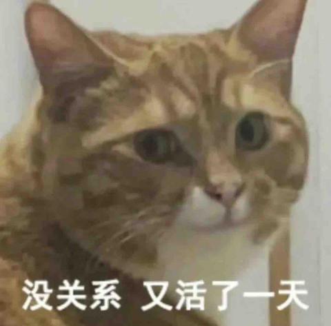 Chuu Chuu