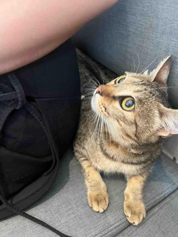 王昱甯 - 好奇寶寶