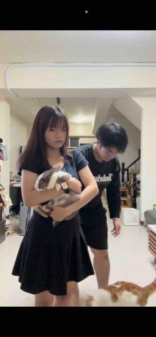 芯愉寵物旅館__簡易搬家 - 客廳  寬敞  