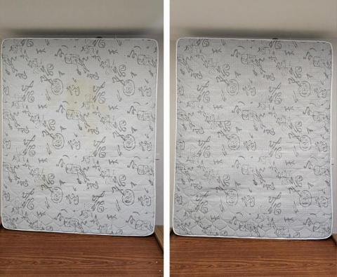 清潔先生 - 寵物尿漬清洗消除