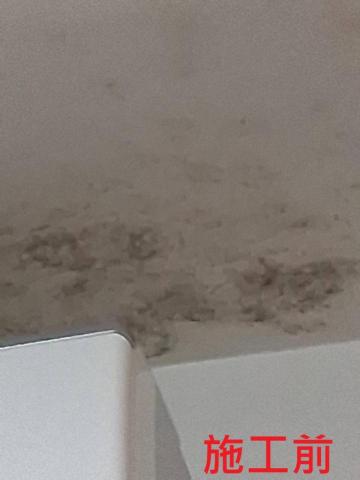 鉅匠有限公司 - 居家除黴處理 鉅匠有限公司 - 居家除黴處理