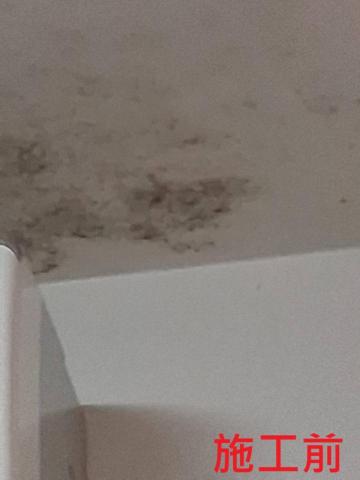 鉅匠有限公司 - 居家除黴處理 鉅匠有限公司 - 居家除黴處理