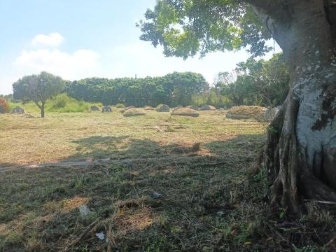 一步一腳印園藝團隊工程 - 台南第一公墓