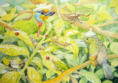 李承哲 - 水彩插畫 繪製