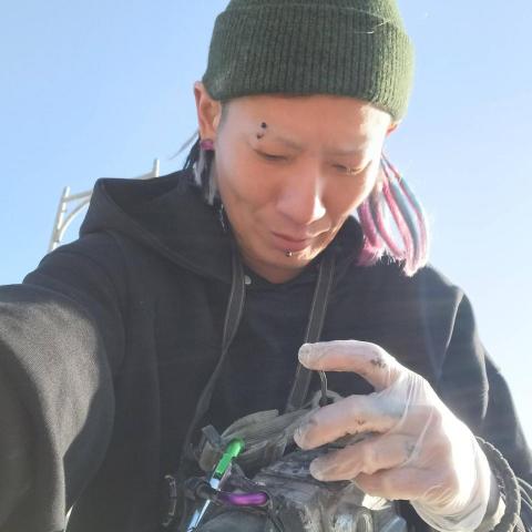 提供石工服務的專家羅蔔糕拆除打石工