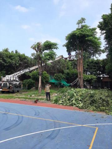 歐之鄉園藝景觀行 - 