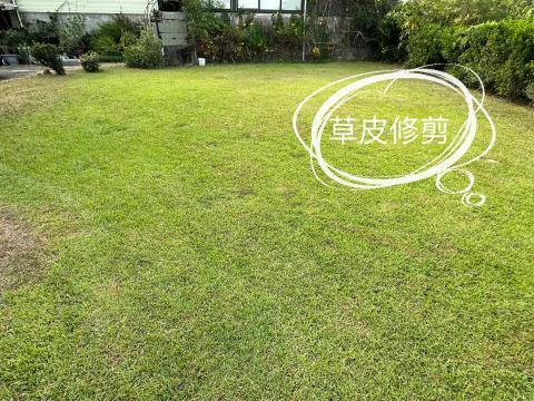 小林 - 專業草皮修剪｜讓綠地煥然一新

想讓庭院、花園或戶外空間更整潔美觀？我提供專業草皮修剪服務，讓您的綠地維持最佳狀態！

✅ 修剪整齊，提升景觀美感
✅ 清理雜草，讓草坪更健康
✅ 適用庭院、公園、企業綠地

無論是定期維護或一次性整理，都歡迎聯繫，我將用心打造整潔清新的戶外空間！