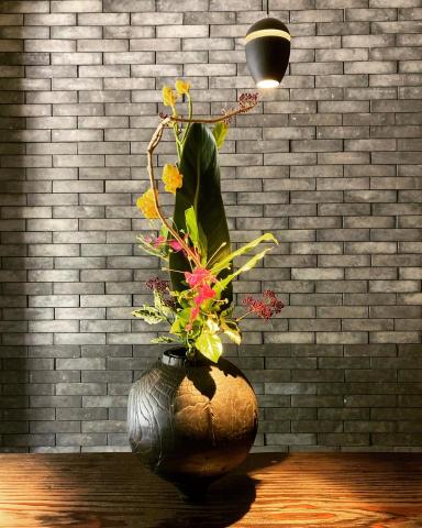 Mr Hana - 茶席花藝