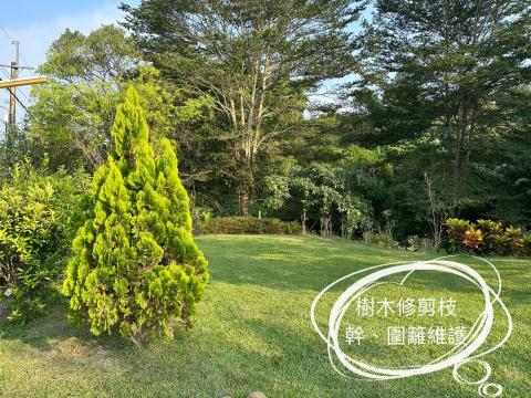 小林 - 樹木圍籬修剪｜打造整齊美觀的綠意空間

專業修剪樹木與綠籬，讓您的庭院、花園或戶外空間煥然一新！

✅ 修剪整齊，提升景觀質感
✅ 控制高度與形狀，維持良好視野
✅ 促進健康生長，防止過度繁茂

無論是定期維護或一次性整理，都歡迎聯繫，讓您的綠意環境更加整潔有序！