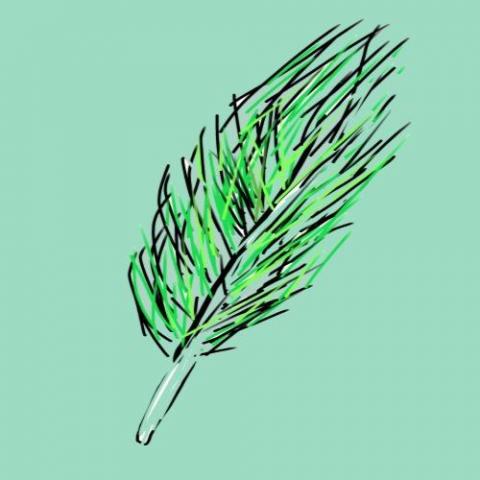 永和銀髮手機教學專家推薦Bread